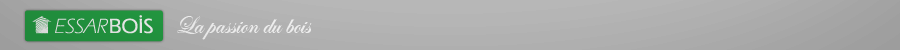 bg-banner-logo