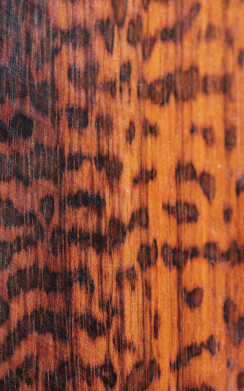 Bois de serpent