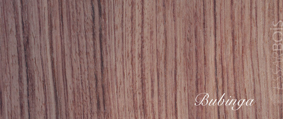 Bubinga