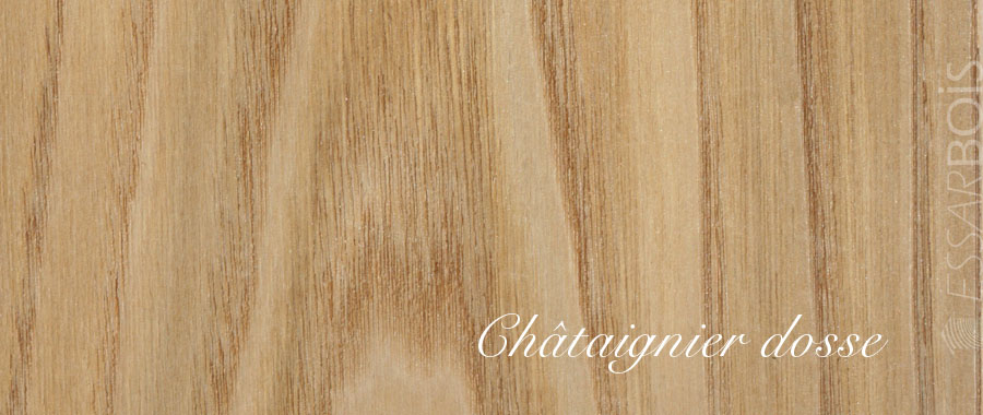 Chataignier dosse