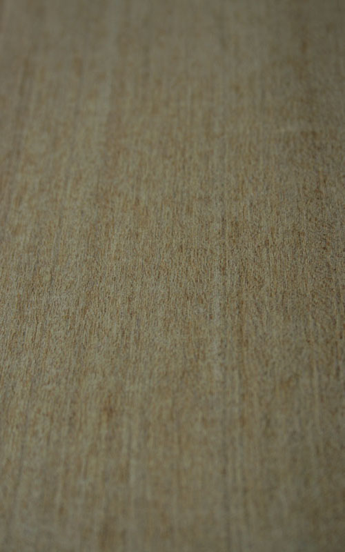 Iroko