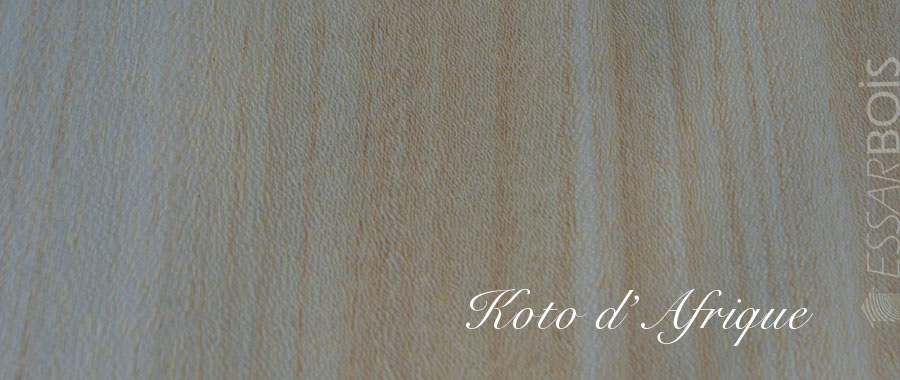 Koto d'Afrique
