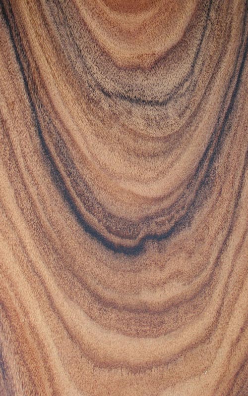 Palissandre de santos 2