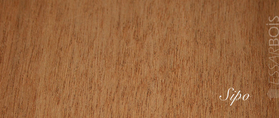 Essence de bois sipo exotique Essarbois ~ Bois Exotique Sipo Essence de bois sipo exotique Essarbois ~ Bois Exotique Sipo