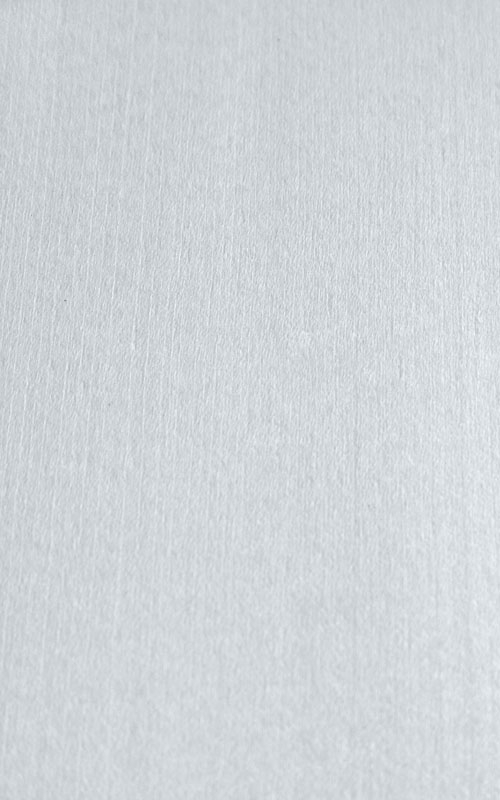 Sycomore blanc uni