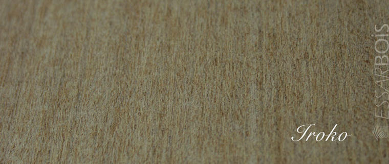 Iroko