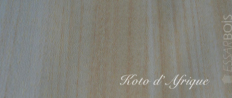 Koto d'Afrique