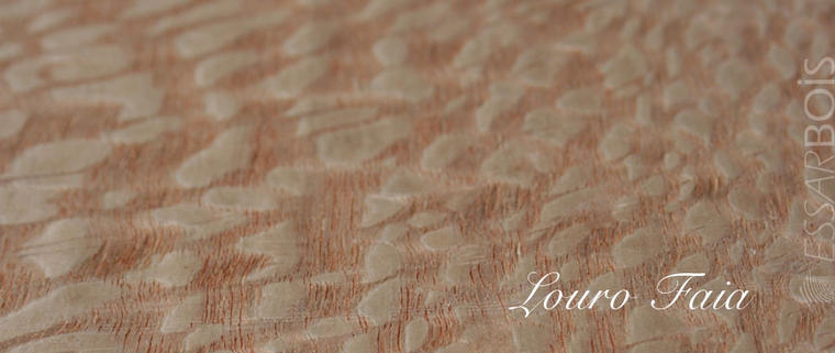 Louro faïa