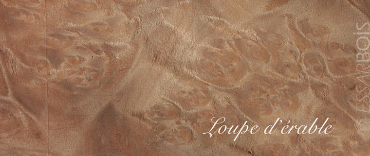 Loupe d'érable
