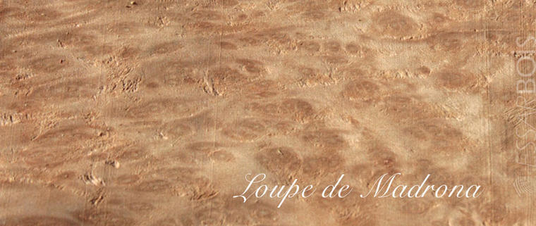 Loupe de madrona