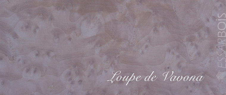 Loupe de vavona