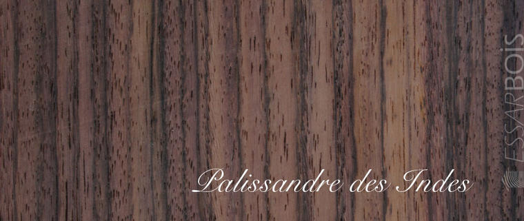 Palissandre des Indes