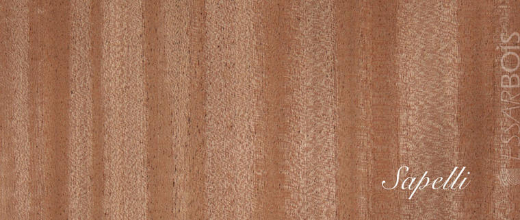 Sapelli