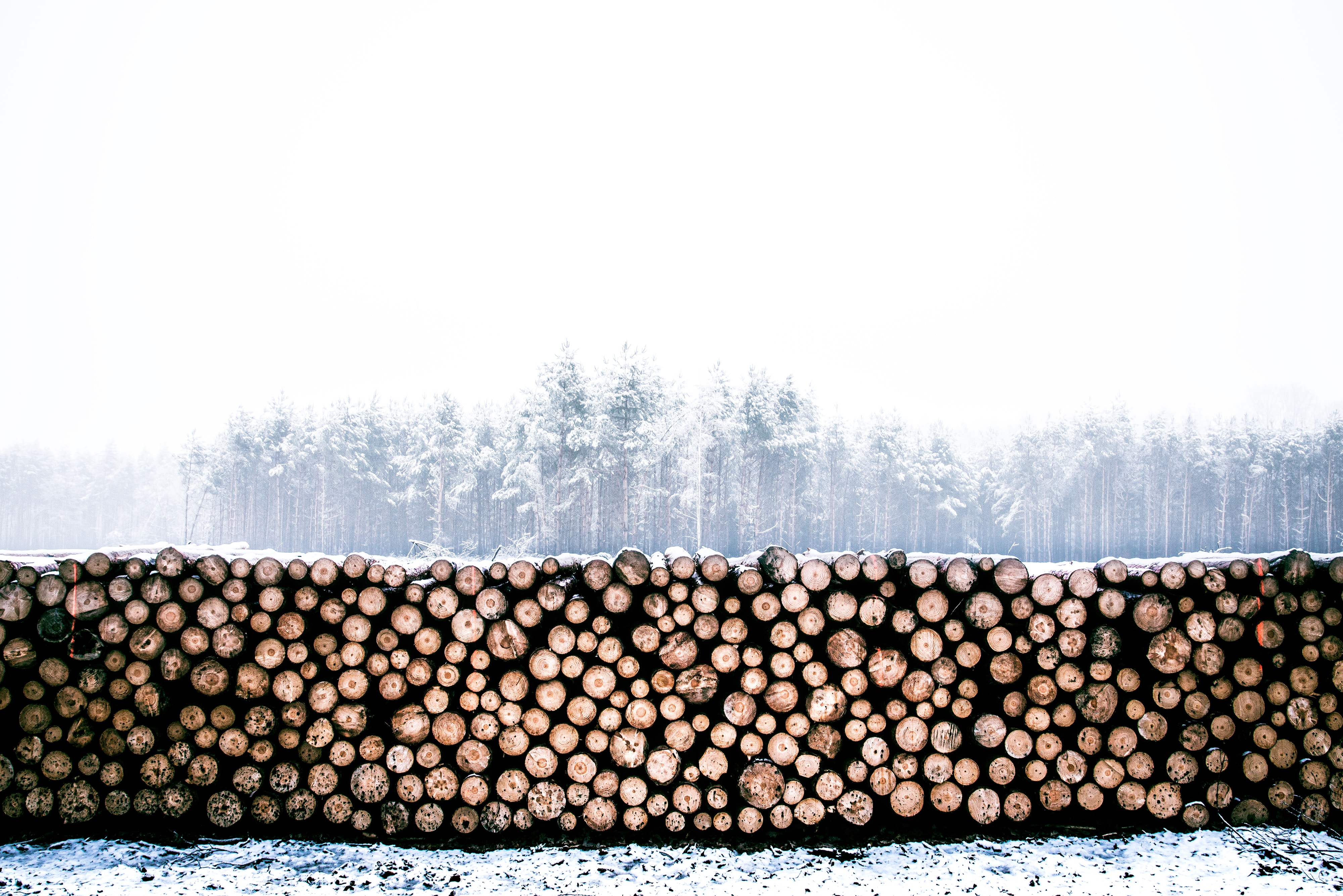 les exploitations de bois d'Amérique du Nord