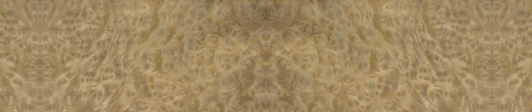 loupe de Myrthe