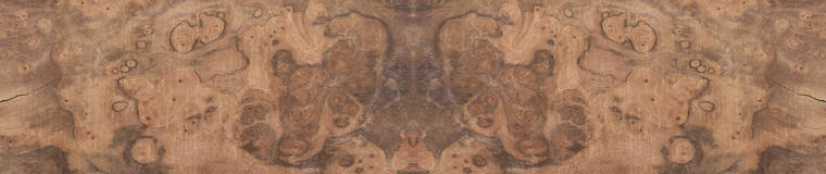 loupe de noyer