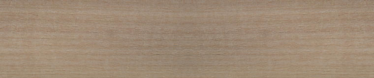 Red Alder